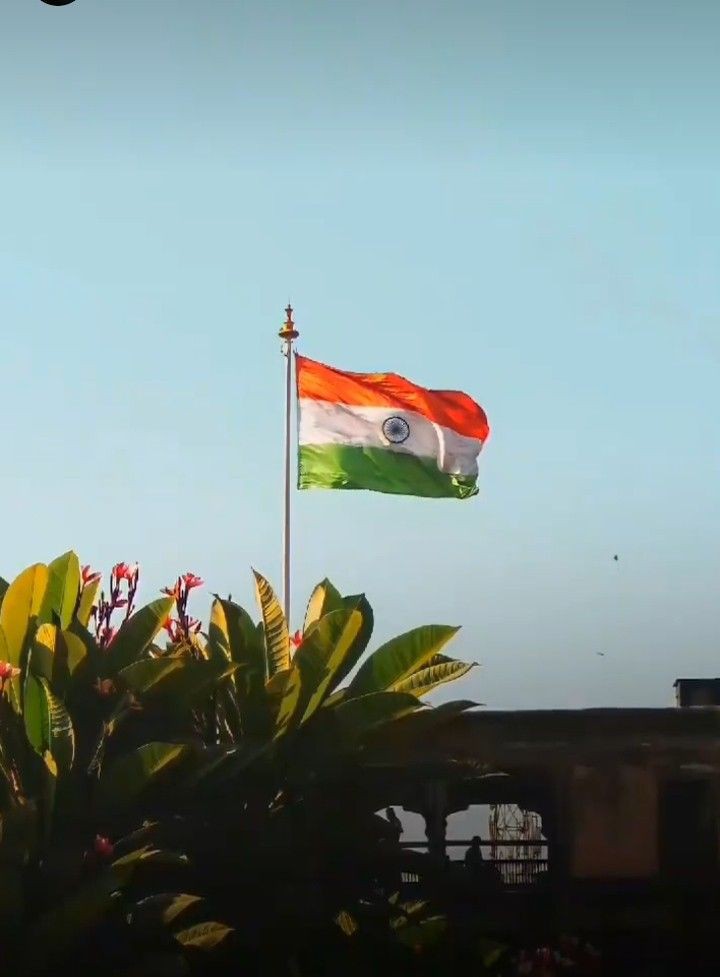 tiranga-dp