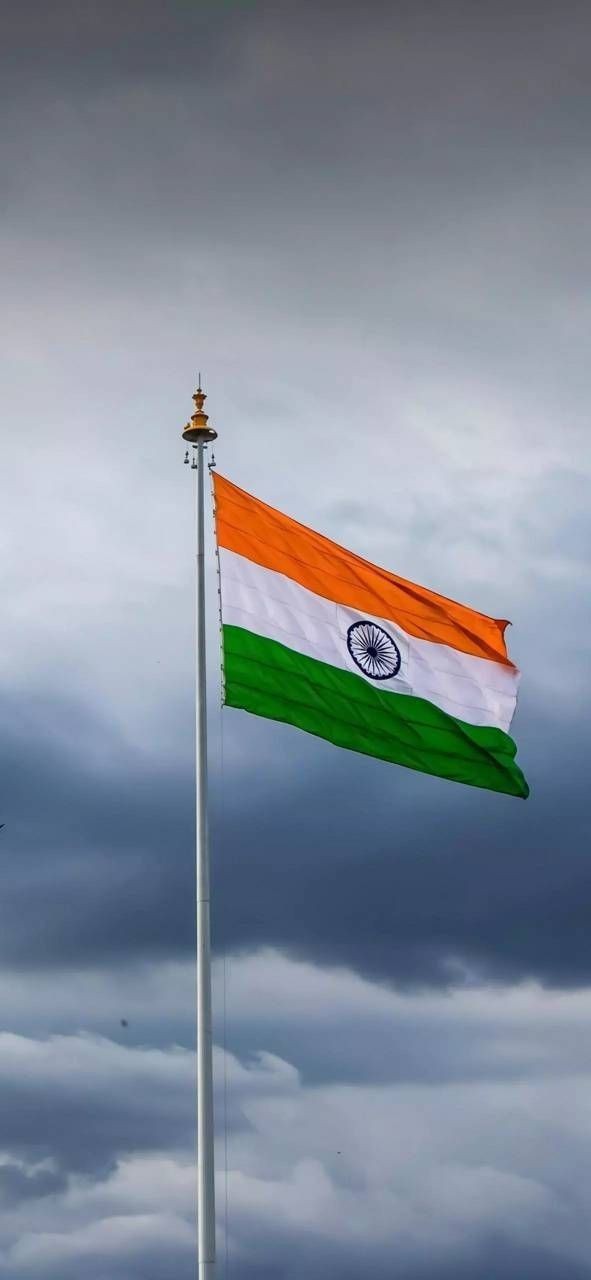 tiranga-dp-hd