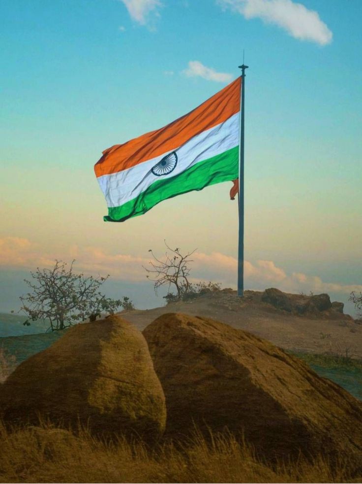 tiranga-dp-hd