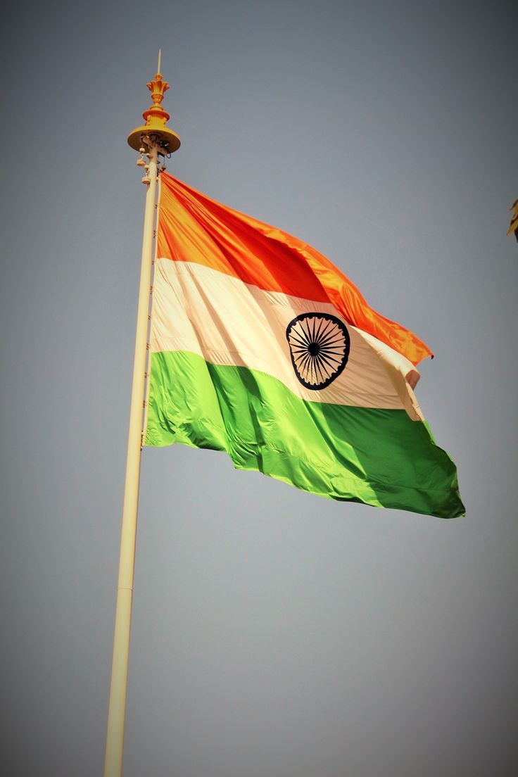 tiranga-dp-hd