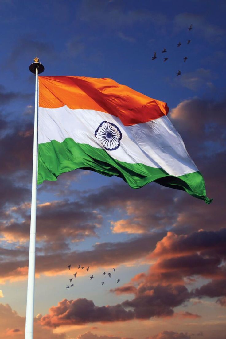 tiranga-dp-hd