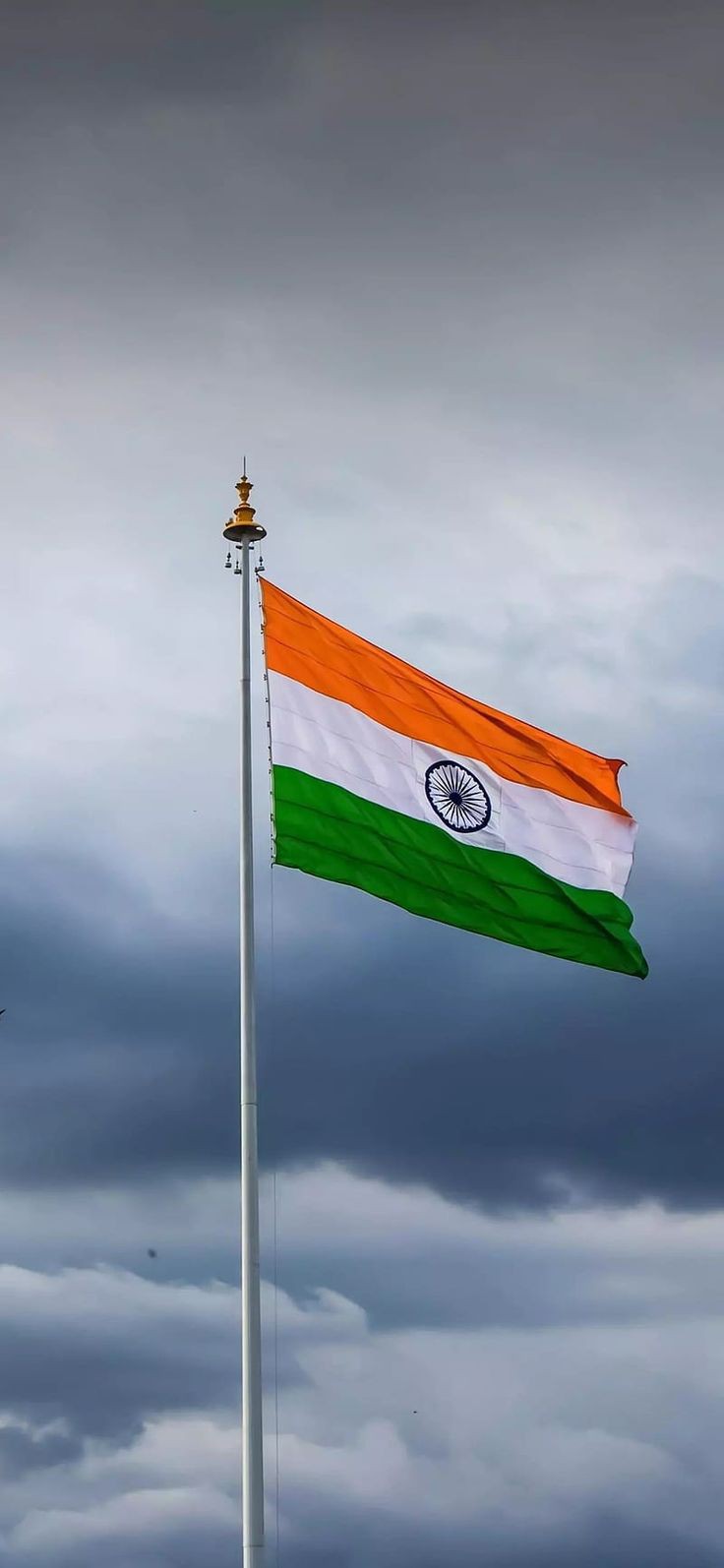 indian-flag-dp