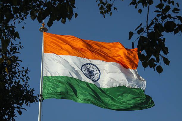 indian-flag-dp