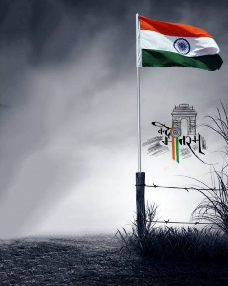 india-flag-dp