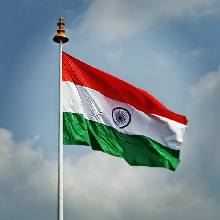 india-flag-dp