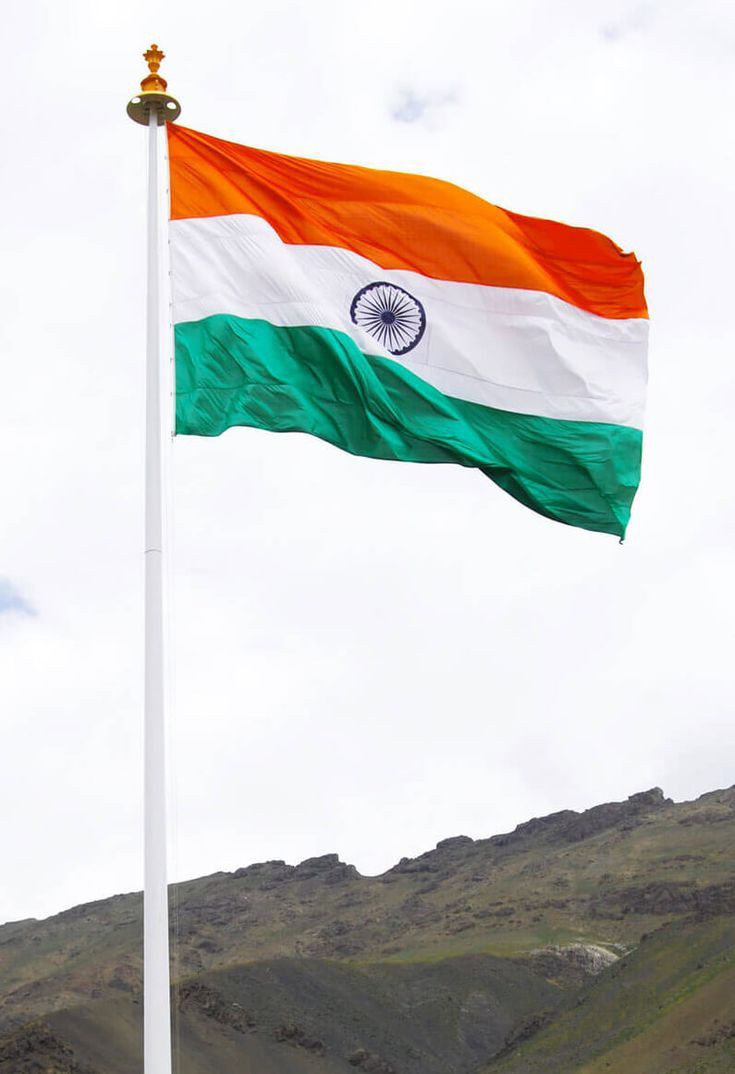 india-flag-dp