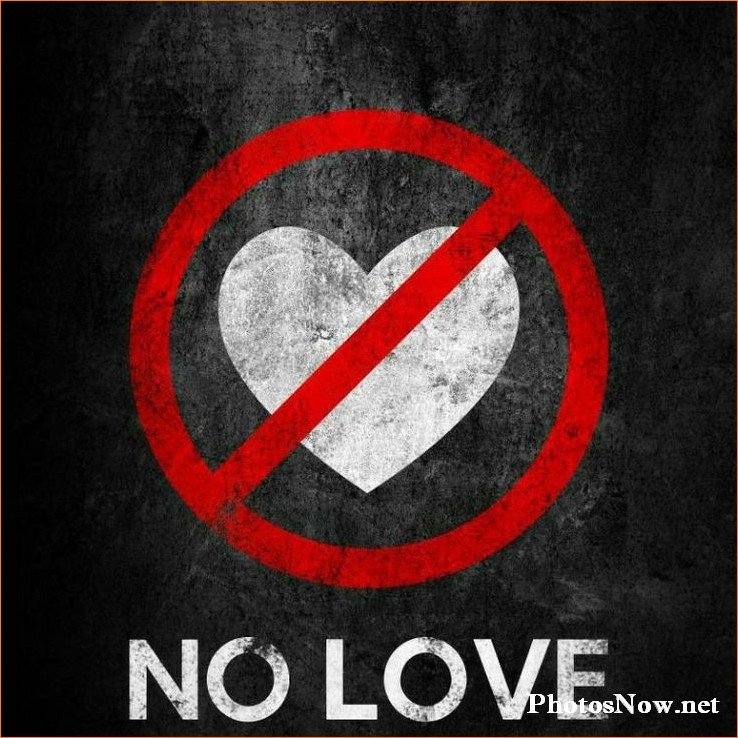 no-love-dp