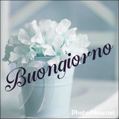 buongiorno-immagini-nuove