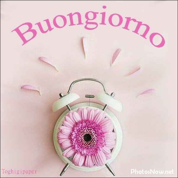 buongiorno-immagini-nuove