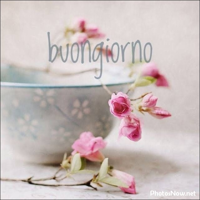 buongiorno-immagini-nuove