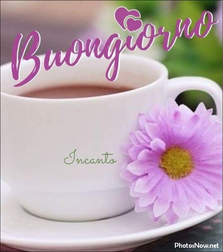 buongiorno-immagini-nuove