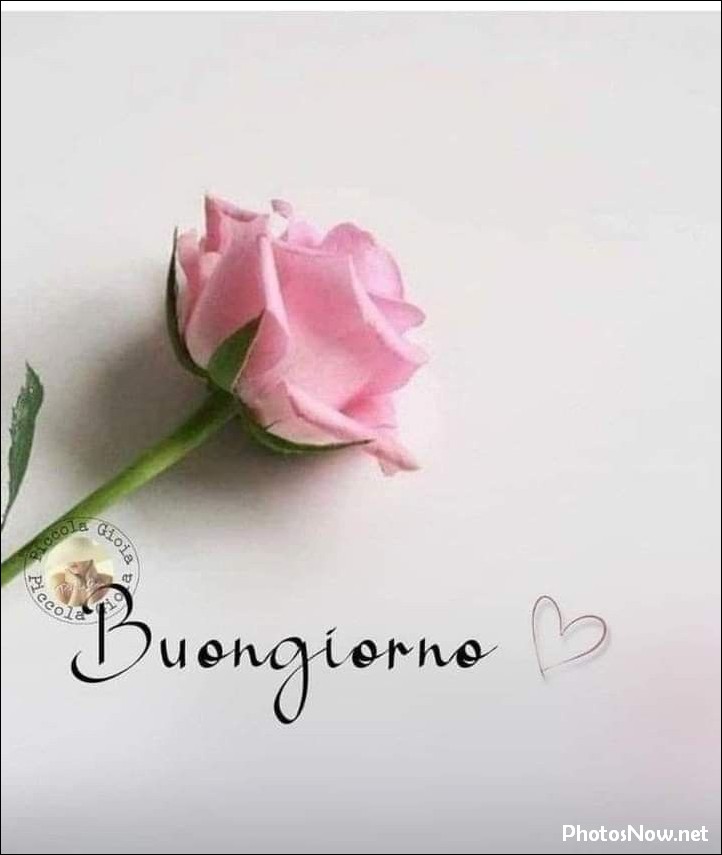 buongiorno-immagini-nuove