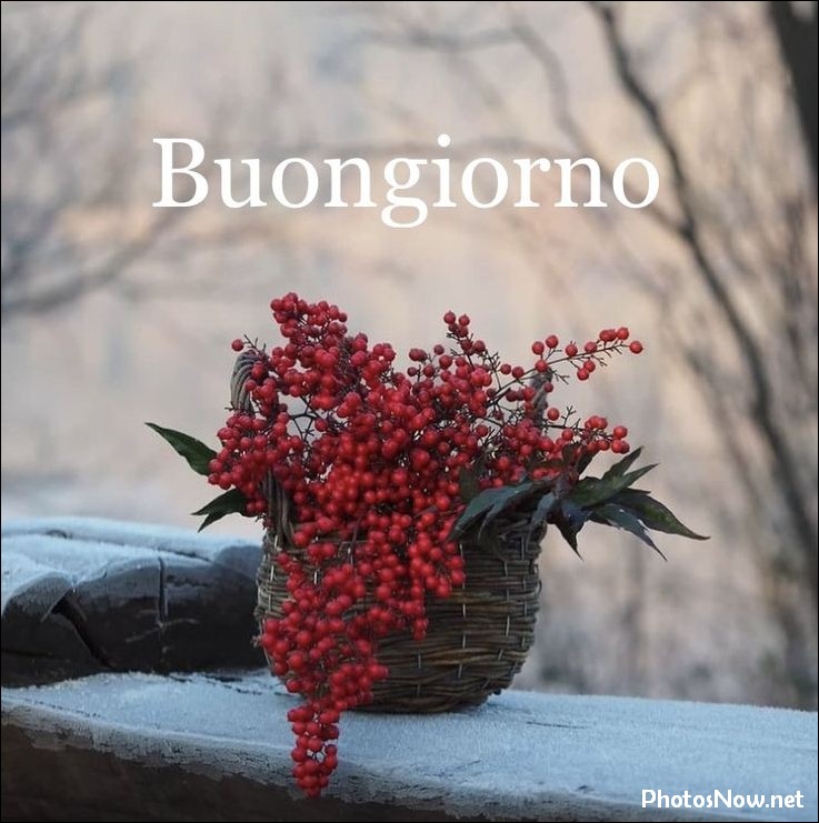 buongiorno-immagini-nuove