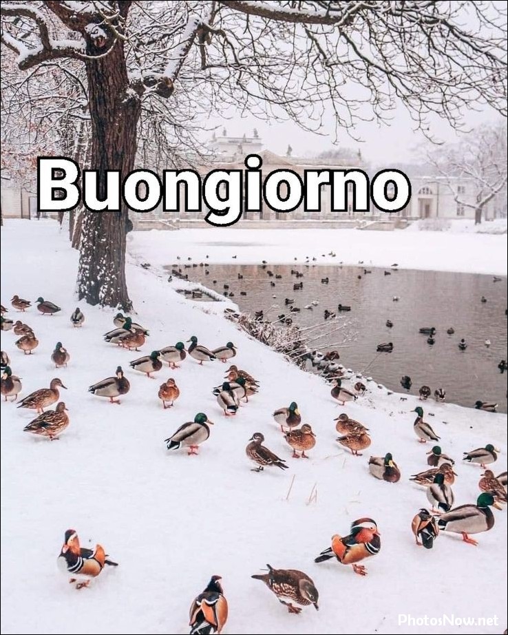 buongiorno-foto