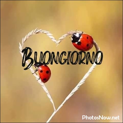 buongiorno-immagini-nuove