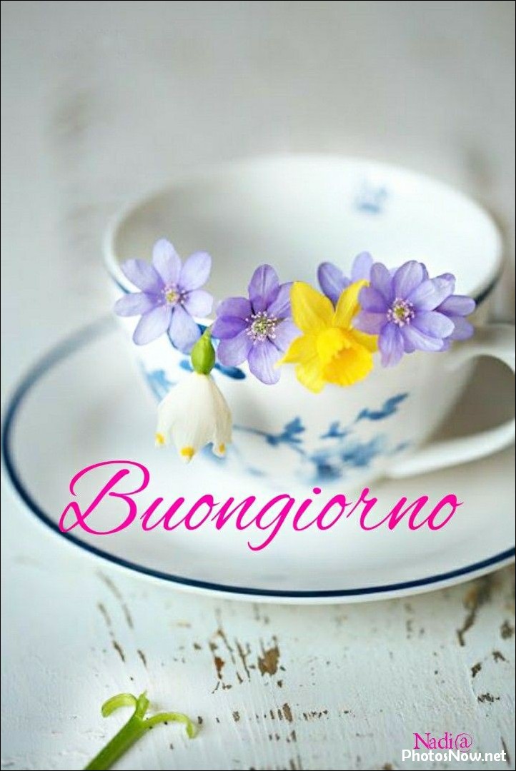 buongiorno-immagini-nuove