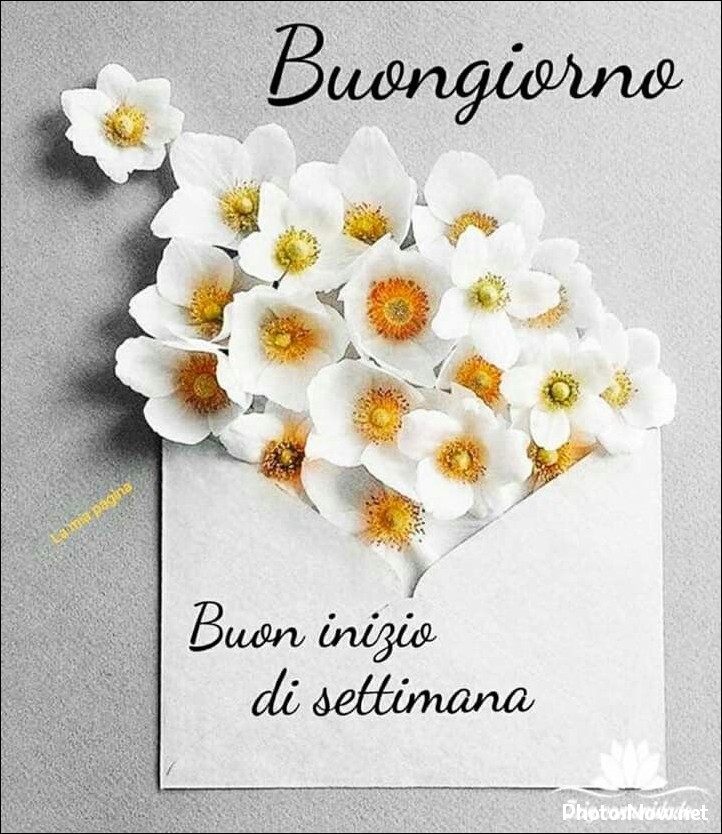 buongiorno-immagini-nuove