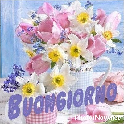 buongiorno-immagini-nuove