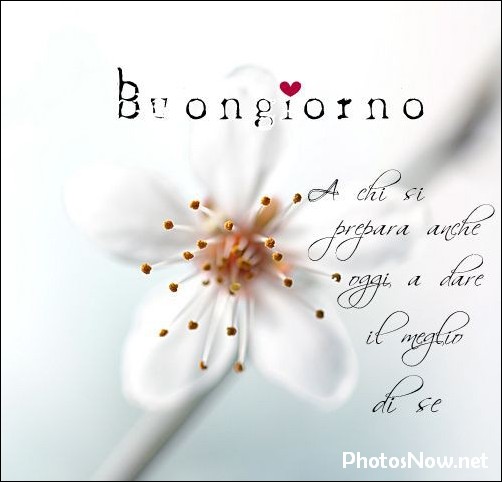 buongiorno-immagini-nuove