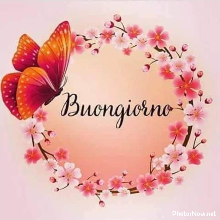 buongiorno-immagini-nuove