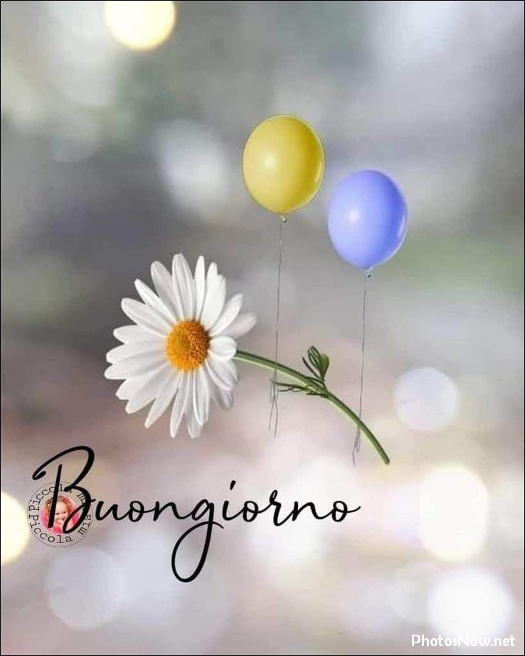 buongiorno-immagini