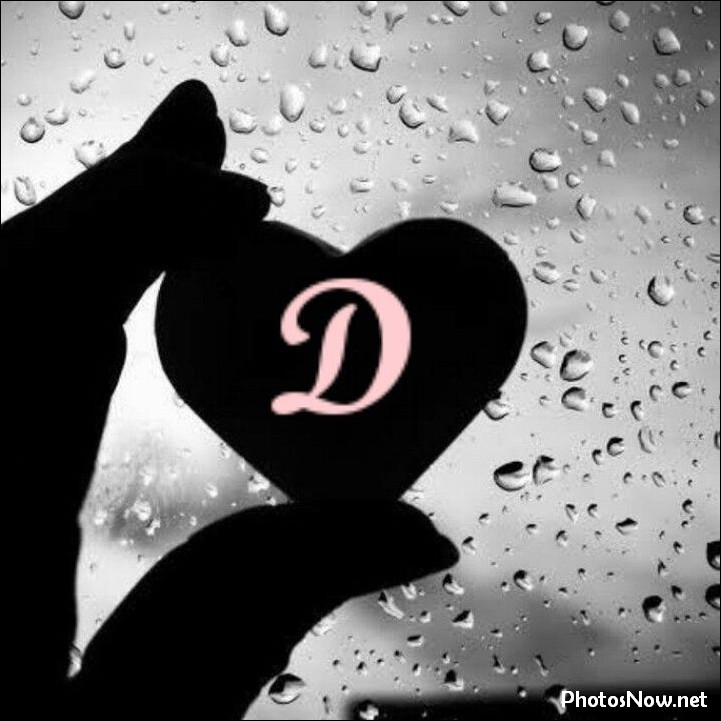 d-name-dp