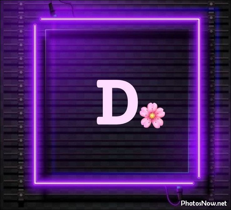 d-name-dp